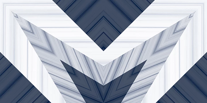 ZIBRA BLUE