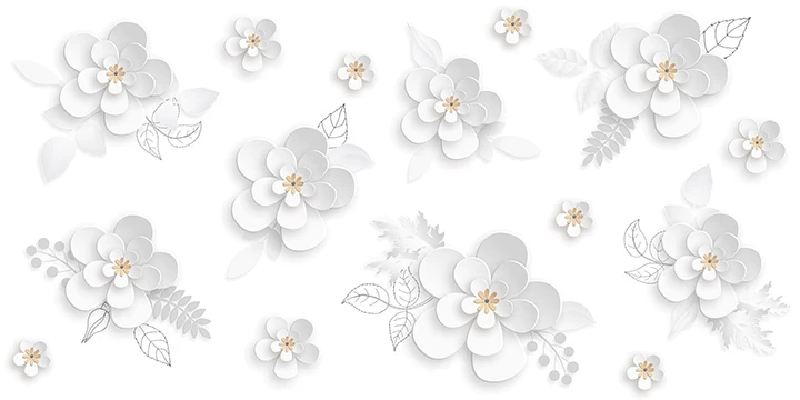 LILY WHITE
