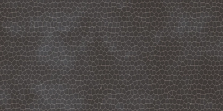 WILD STONE CARBON F1