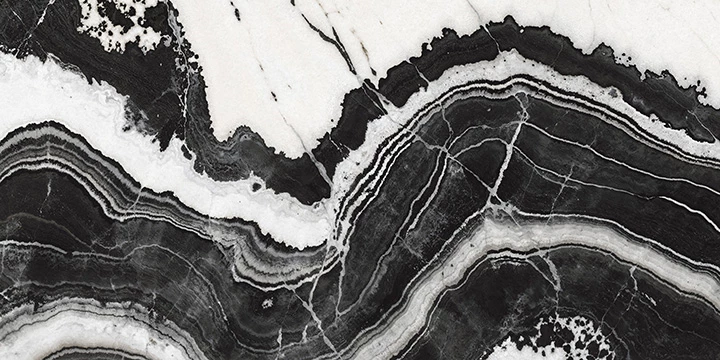 HARLEQUIN WHITE F3 copy