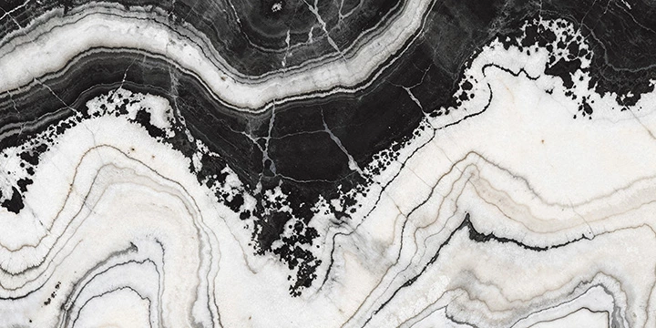 HARLEQUIN WHITE F5 copy