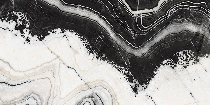 HARLEQUIN WHITE F6 copy