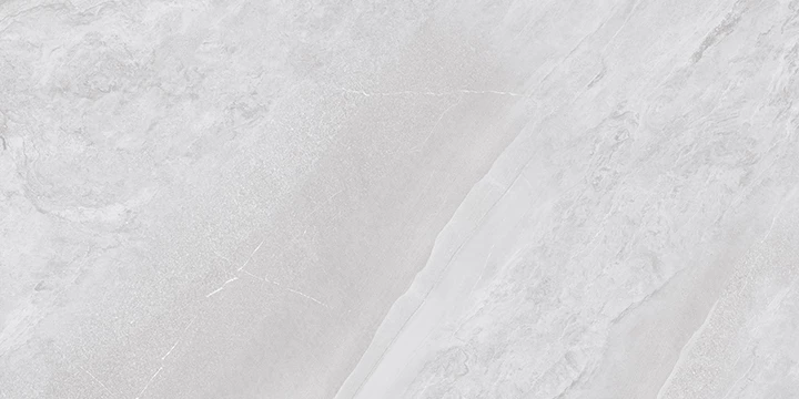 SALOMON WHITE F2