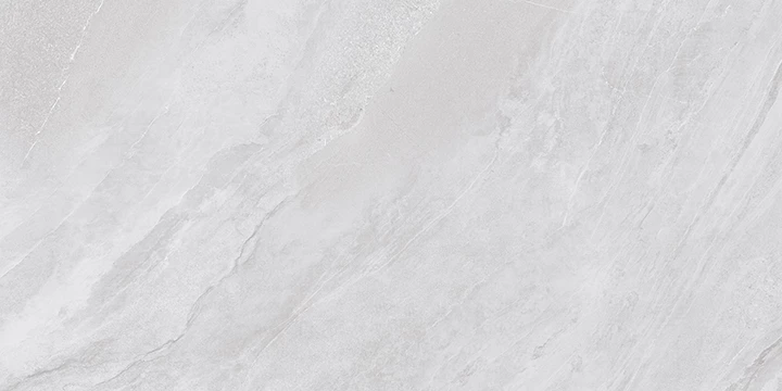 SALOMON WHITE F4