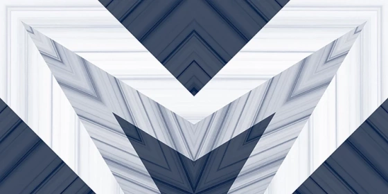 Zibra Blue