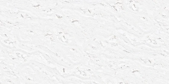 Cadila Snow