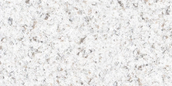 Trivia White