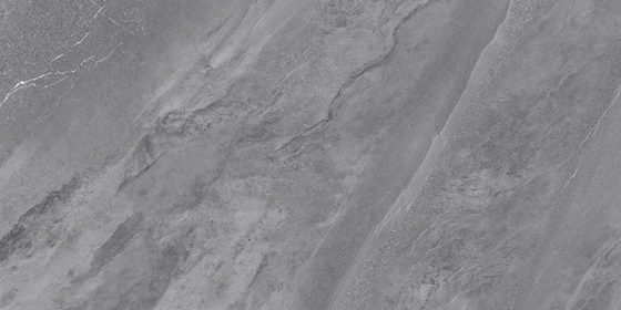 Salomon Grey