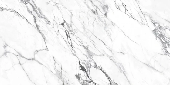 Harpis Carrara