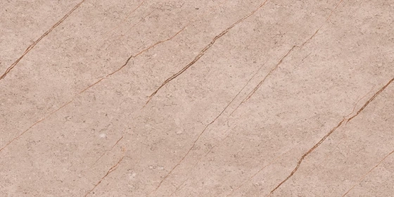 Clonic Brown