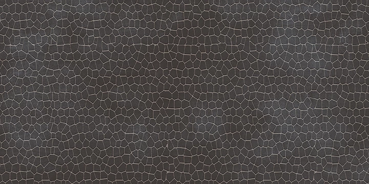 Wild Stone Carbon F2